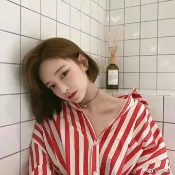 巴黎疯马秀